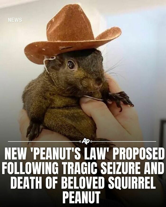 Interesting-Animal-Facts