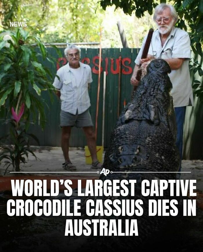 Interesting-Animal-Facts