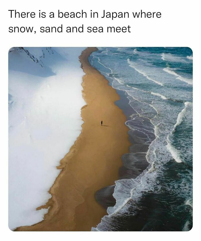 Funny-Random-Memes-Memeculture