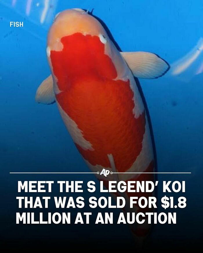 Interesting-Animal-Facts