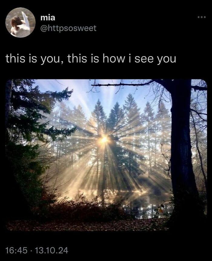 Rays of sunlight filter through trees, creating a whimsical scene, perfect for funny memes and unbruhthered humor.