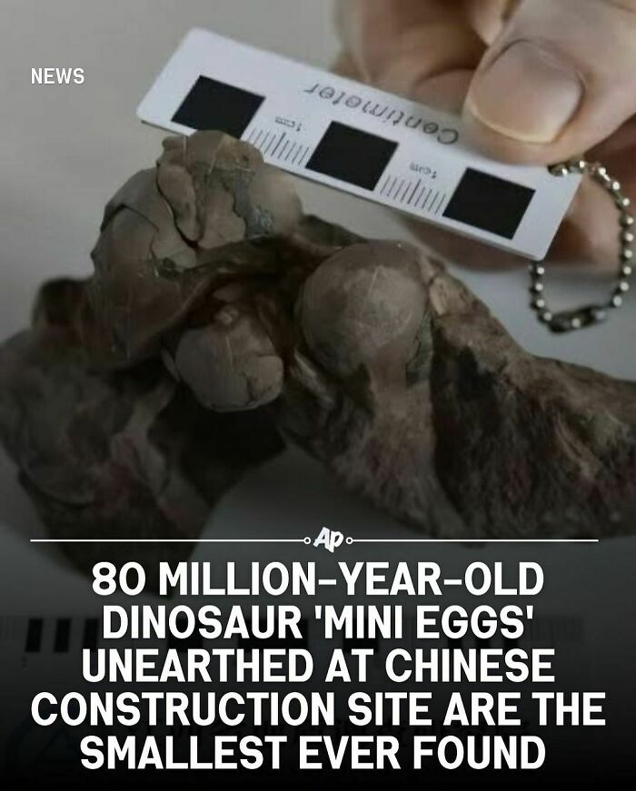 Interesting-Animal-Facts