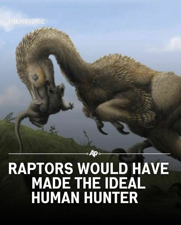 Interesting-Animal-Facts