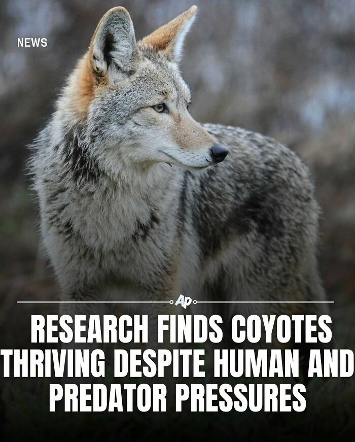 Interesting-Animal-Facts
