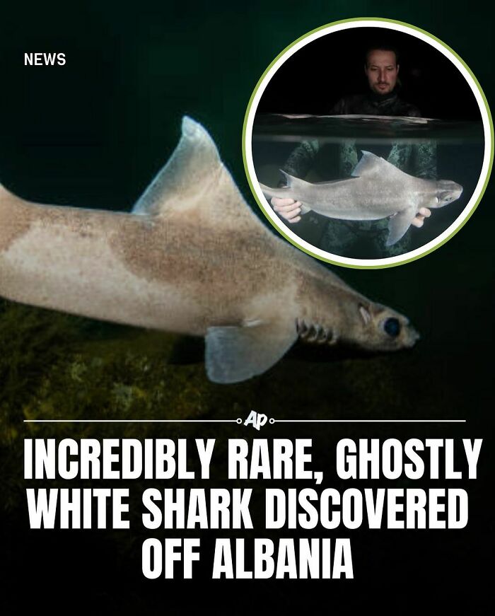 Interesting-Animal-Facts