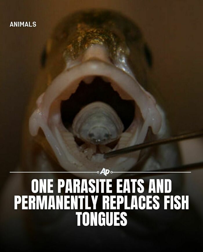 Interesting-Animal-Facts