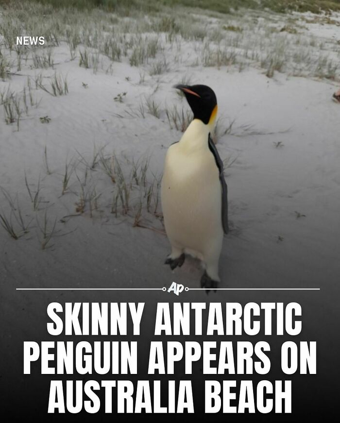 Interesting-Animal-Facts