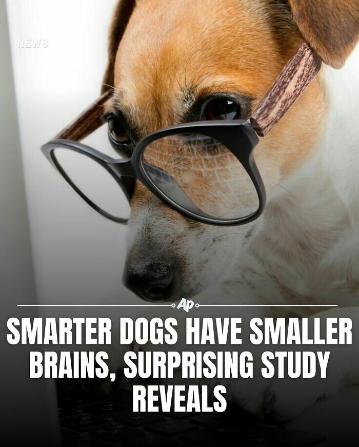 Interesting-Animal-Facts