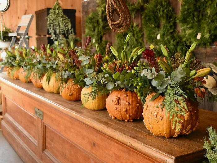 Thanksgiving home decor with pumpkins and floral arrangements on a wooden table.