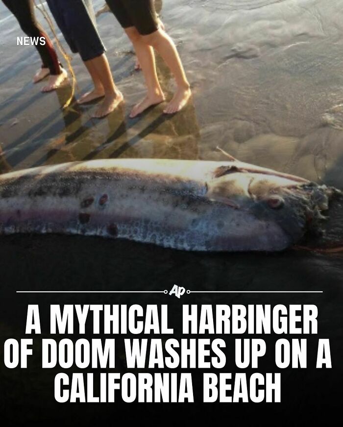 Interesting-Animal-Facts