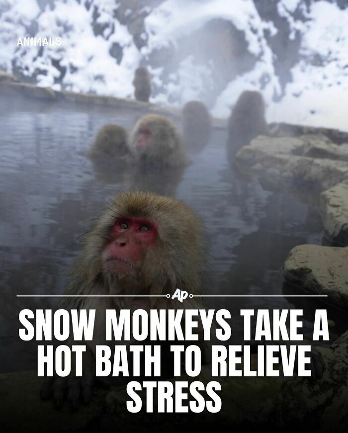 Interesting-Animal-Facts