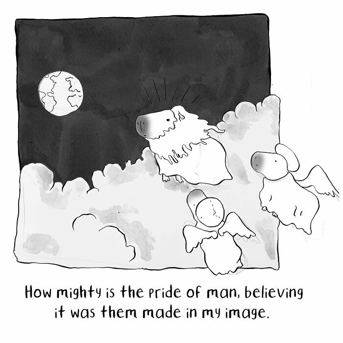 Sometimes dark funny comics featuring sheep angels under a night sky with a humorous philosophical quote.