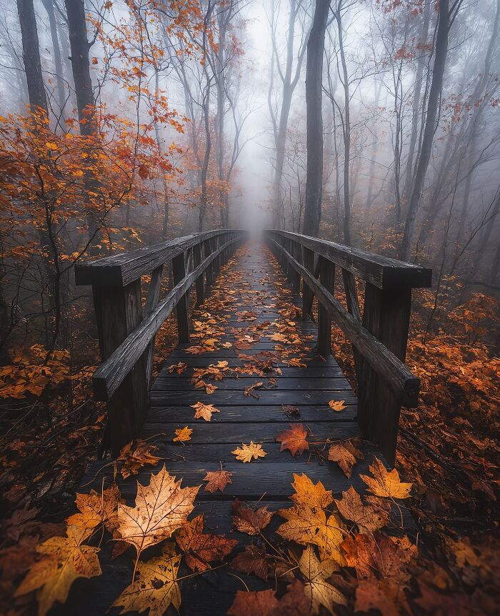 Dreamscapes Of Nature: The Enchanting Photography Of Daniel Greenwood