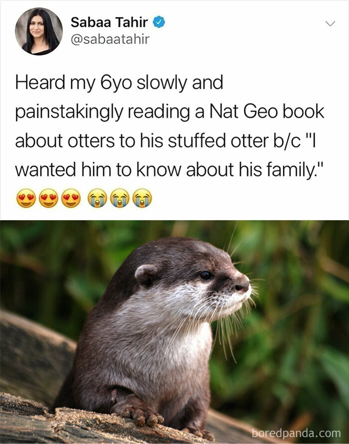 Humorous tweet about a child reading to a stuffed otter, paired with a cute otter photo.
