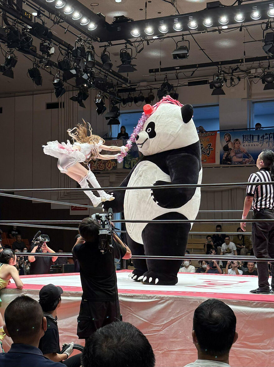 Wrestling match featuring a performer and a giant panda suit, capturing the essence of pics that go hard.