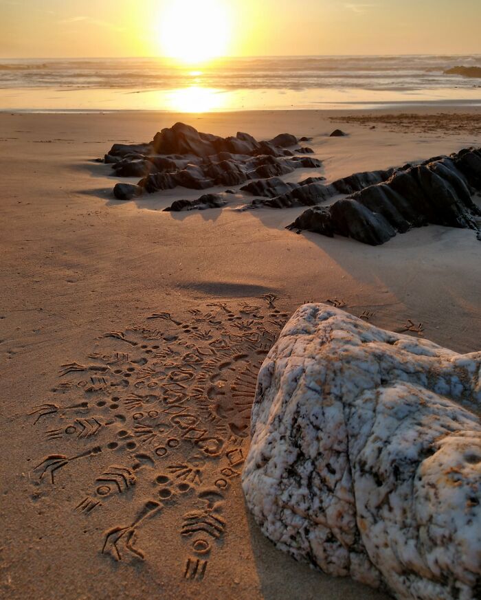 Impressed - Mandala Printed Into Sand With Beach Plastic Litter