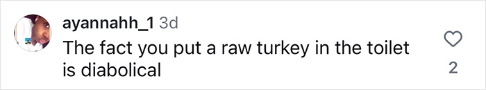Comment criticizing cooking a turkey in a toilet as diabolical.