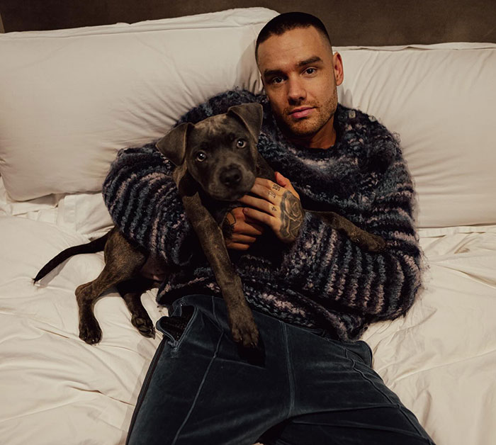 Man in cozy sweater sitting on a bed holding a dog, illustrating emotional moments and connection. Man in cozy sweater sitting on a bed holding a dog, illustrating emotional moments and connection.