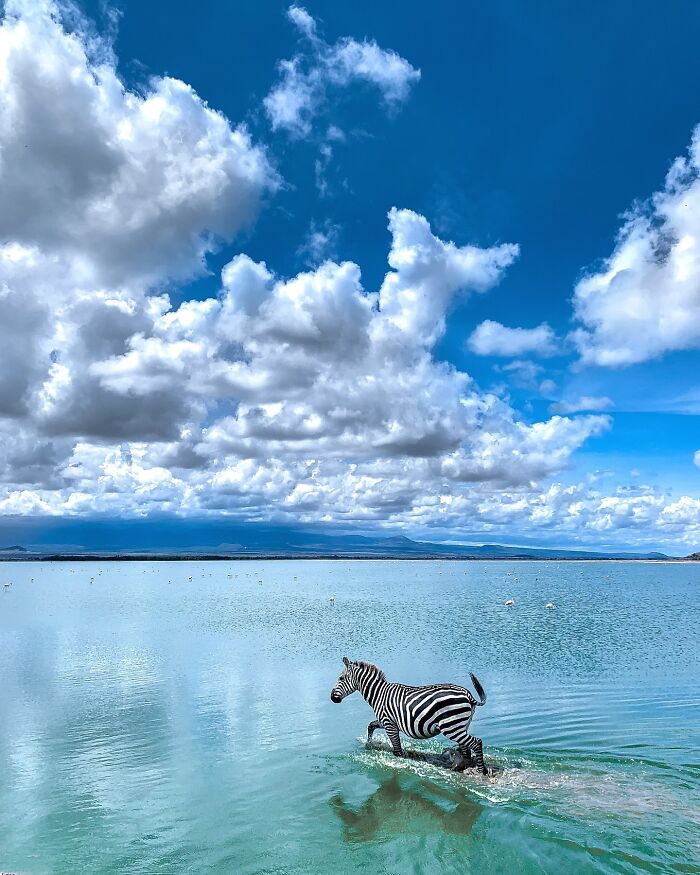 Meet Varun Aditya's Wildlife Photography