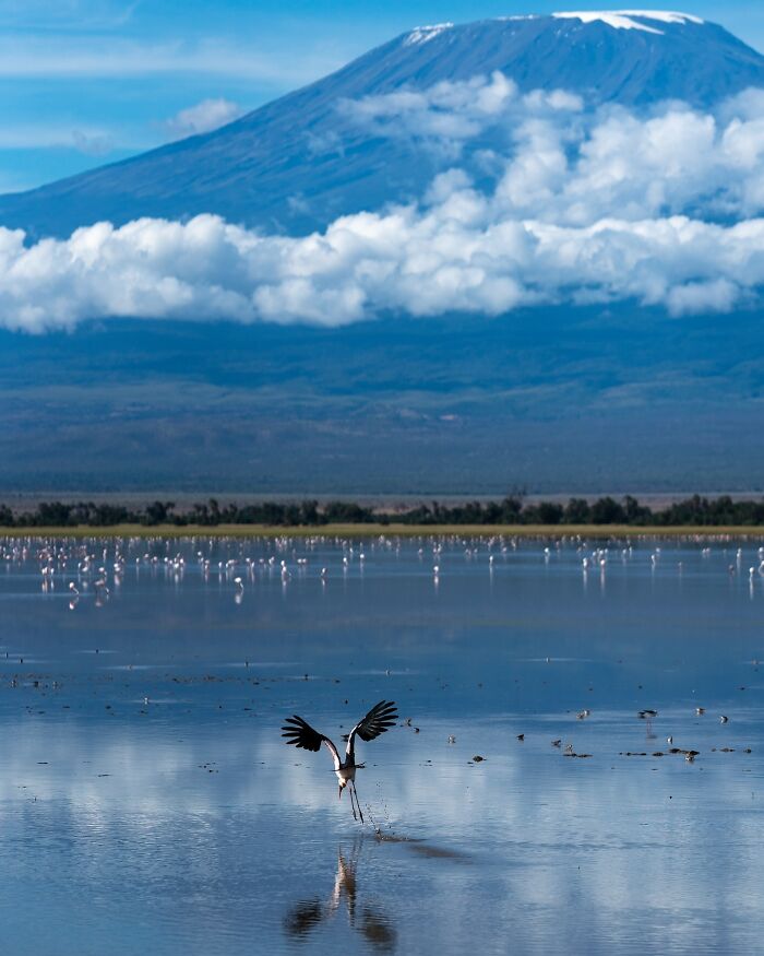 Meet Varun Aditya's Wildlife Photography