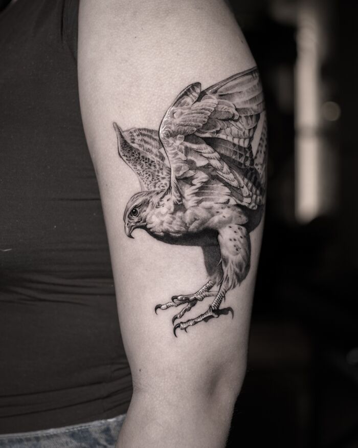 A detailed hawk tattoo on an arm by Monolith Studio artists.