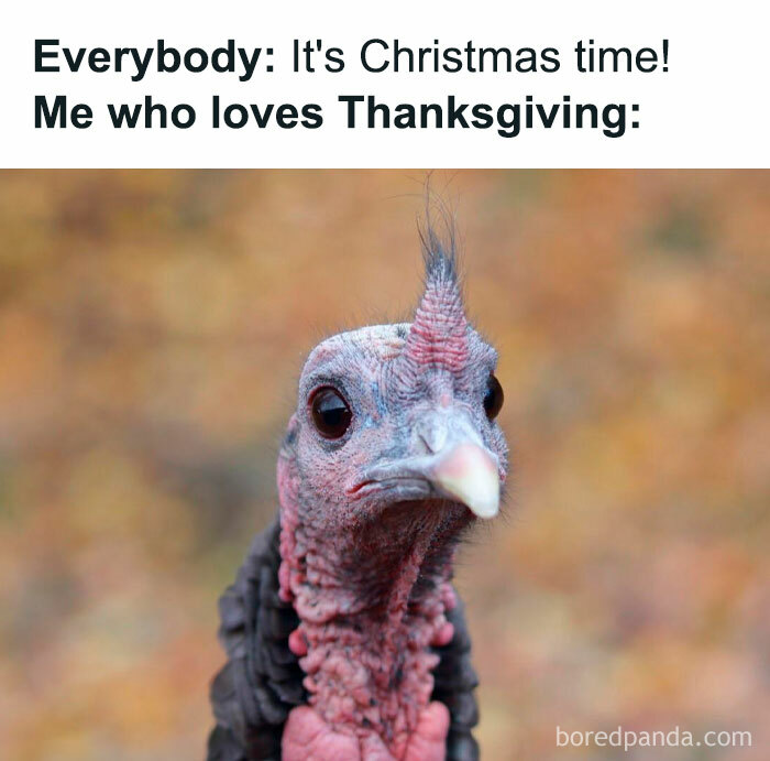 Hanging on to Thanksgiving