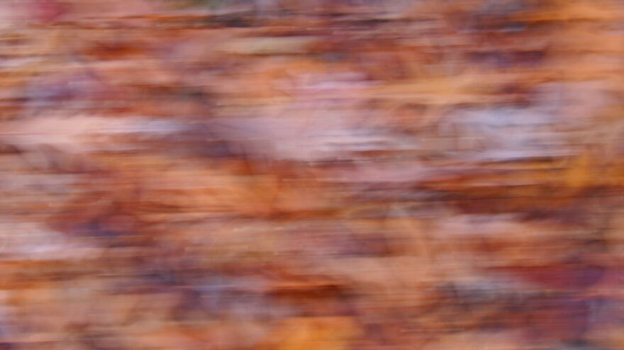 Fall Leaves Abstract Using Intentional Camera Movement