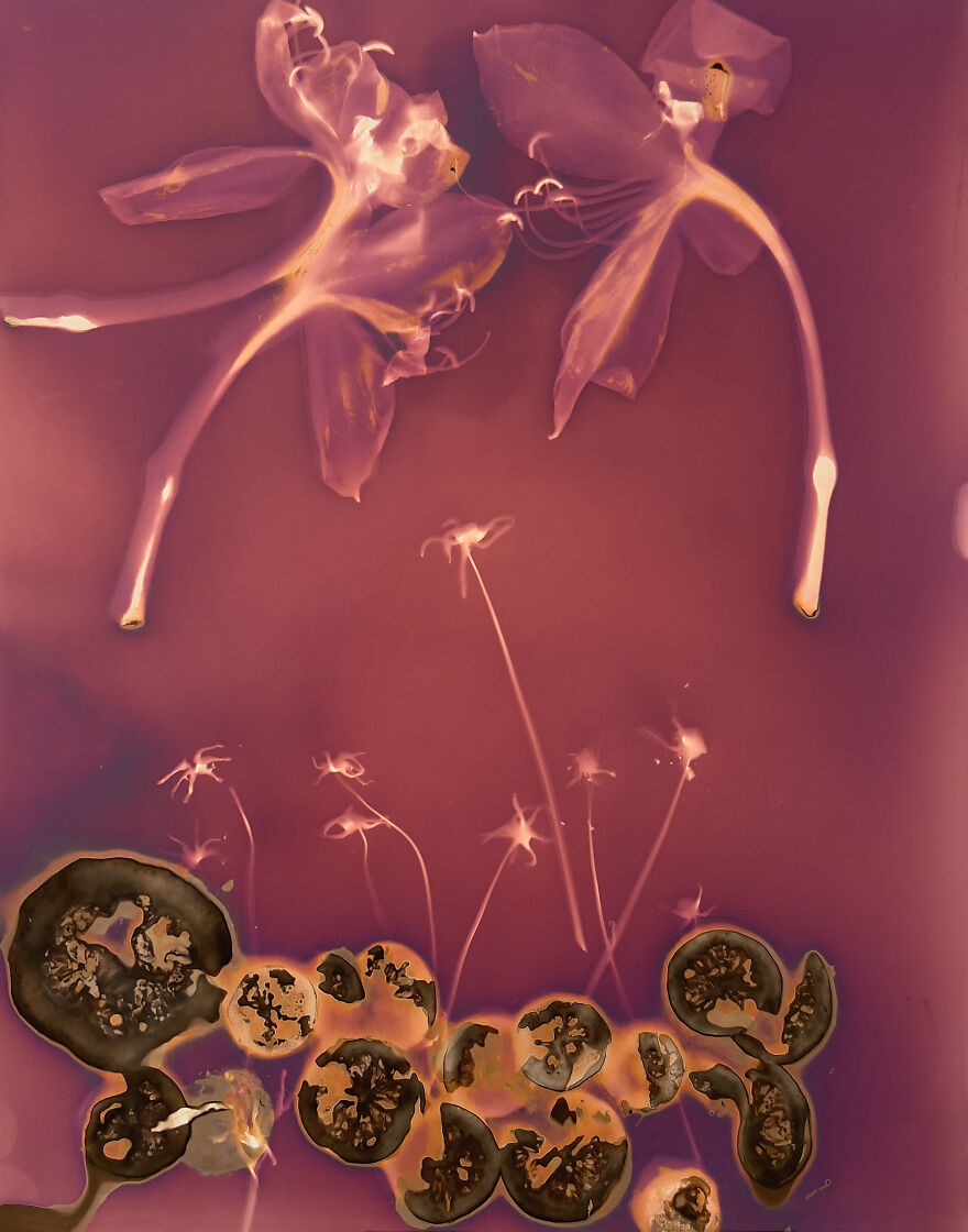 Discover Carolyn Moore's "My Heart Exposed"&mdash;an Emotional Journey Through Experimental Photography