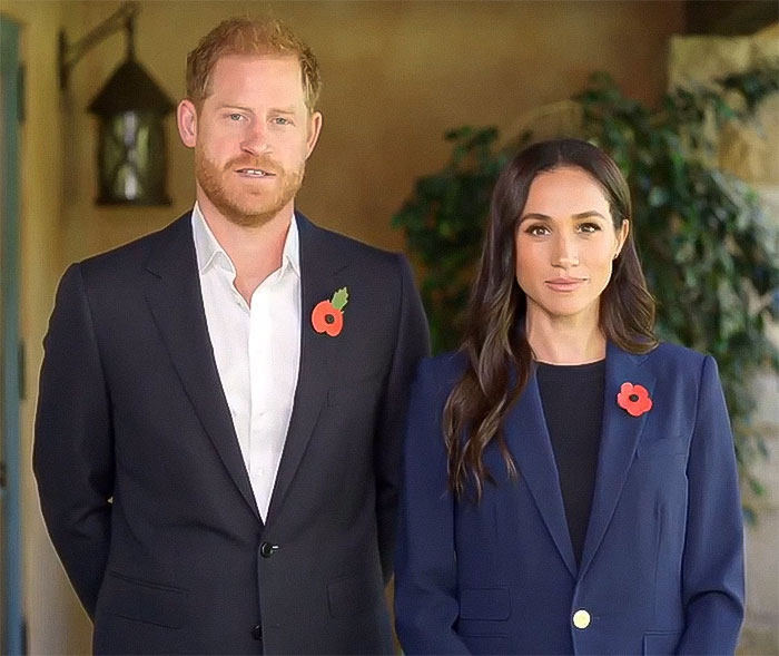 Prince Harry And Meghan Markle Slammed Over New Video Message: "We Are At A Crossroads"