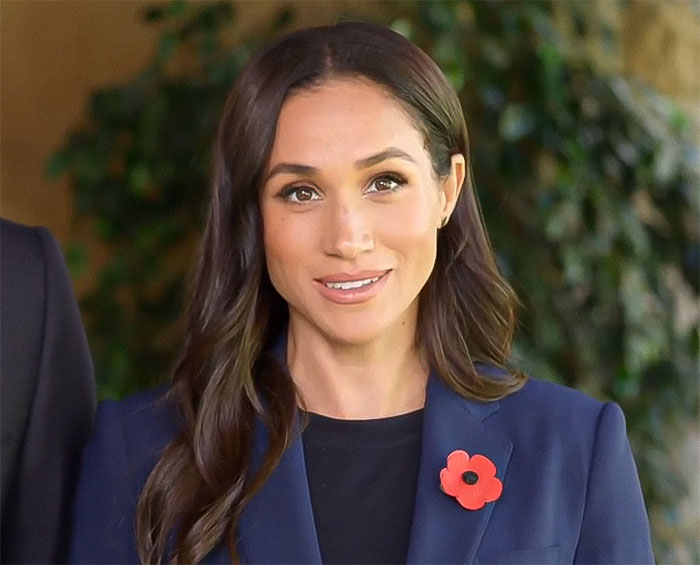 Prince Harry And Meghan Markle Slammed Over New Video Message: "We Are At A Crossroads"
