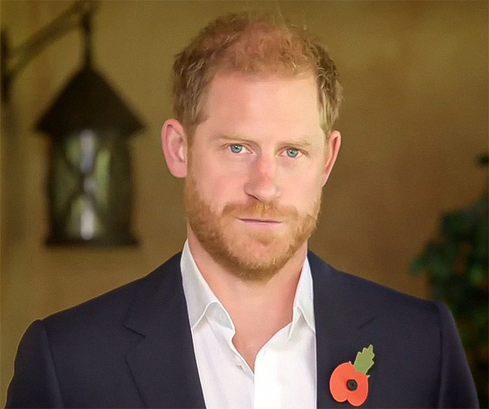 Prince Harry And Meghan Markle Slammed Over New Video Message: "We Are At A Crossroads"