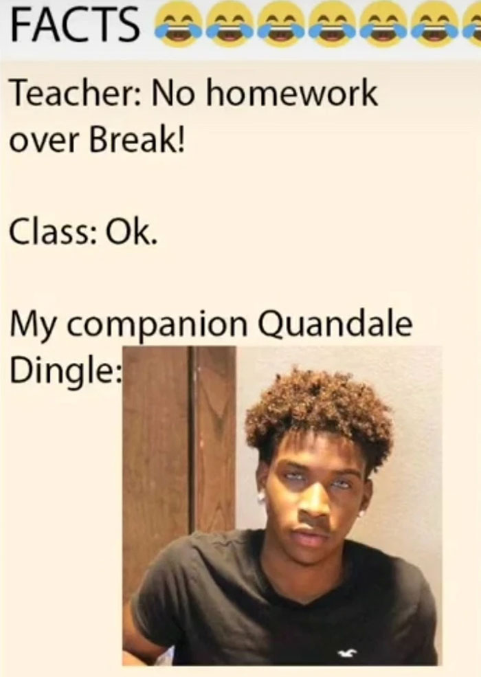 Meme with the caption 'Teacher: No homework over Break!' followed by 'My companion Quandale Dingle,' humorously implying an intense reaction. Meme with the caption 'Teacher: No homework over Break!' followed by 'My companion Quandale Dingle,' humorously implying an intense reaction.