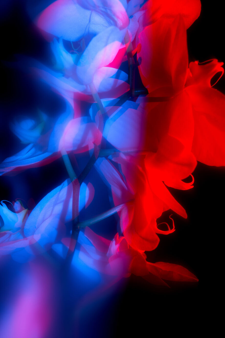 My Photos Honoring My Late Father Are Nominated For An Award&mdash;your Vote Can Help!