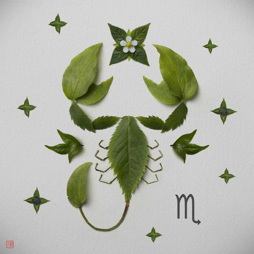 Raku Inoue Art Draft