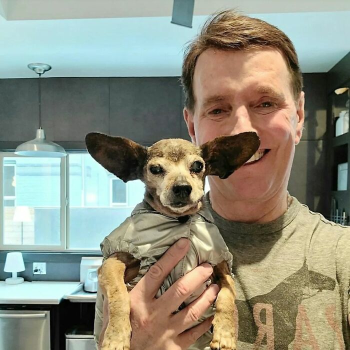 Retiree Is On A Mission To Give Loving Home Exclusively To Senior Dogs In Need