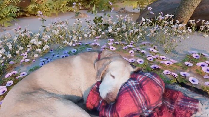 This Man Found A Beautiful Way To Relive The Final Memory With His Dog Who Passed Away This Man Found A Beautiful Way To Relive The Final Memory With His Dog Who Passed Away