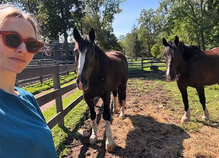 Amanda Seyfried Reveals Why Leaving Hollywood Was The “Best Decision” Amanda Seyfried Reveals Why Leaving Hollywood Was The “Best Decision”