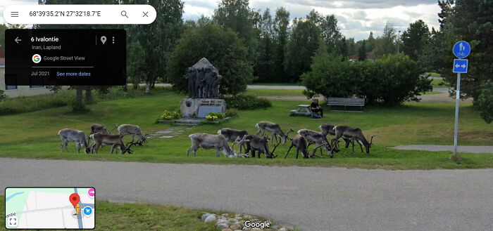 Reindeer wandering on a park path captured on Google Street View in Lapland, creating a funny and weird life scene.