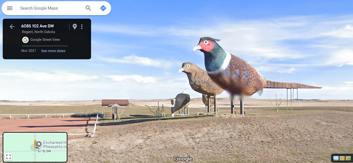 Giant pheasant sculptures on a rural landscape, captured on Google Street View, showcasing a funny life scene.