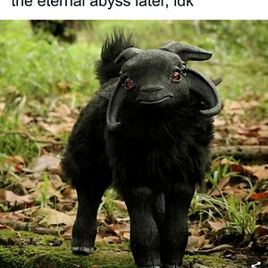 andredippenaar avatar