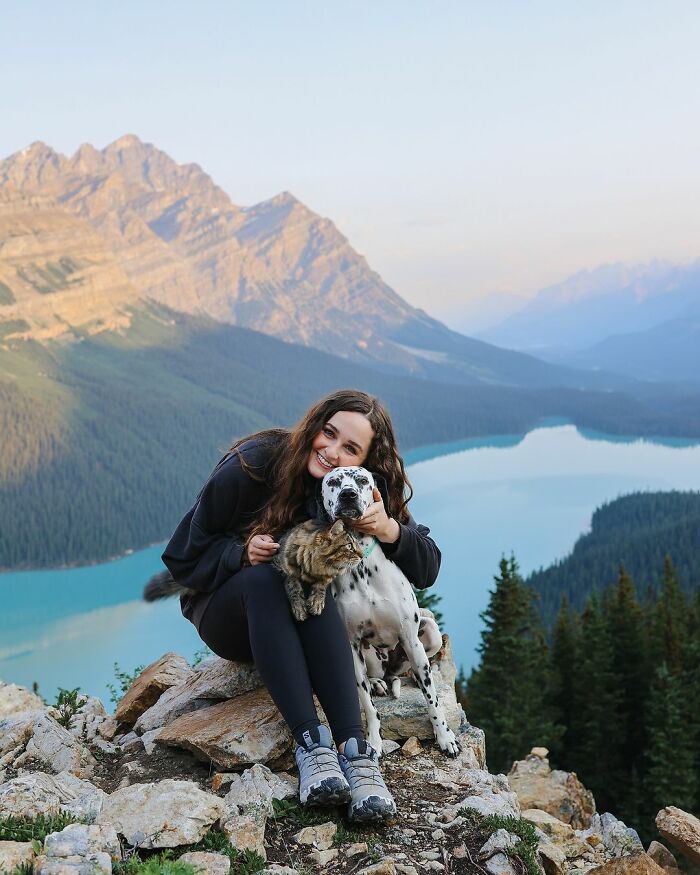 Woman Let Her Dalmatian Keep A Foster Kitten And It Resulted In The Most Beautiful Friendship Woman Let Her Dalmatian Keep A Foster Kitten And It Resulted In The Most Beautiful Friendship