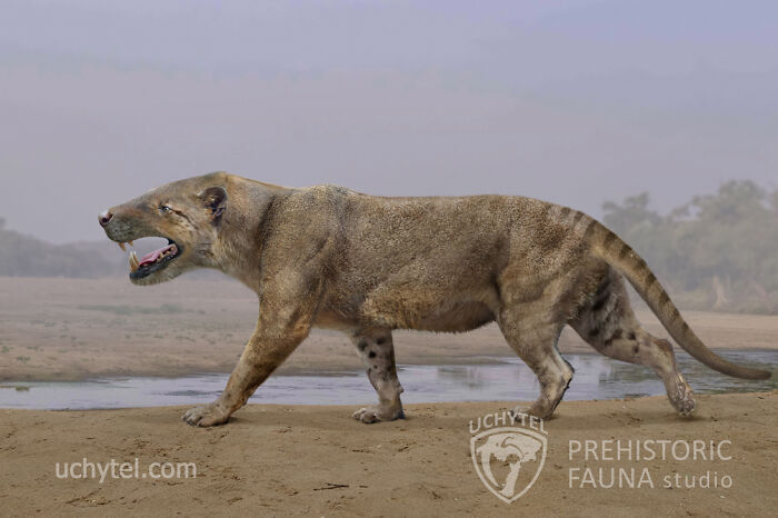 Paleoartist's depiction of prehistoric fauna, featuring a saber-toothed predator in a natural landscape.