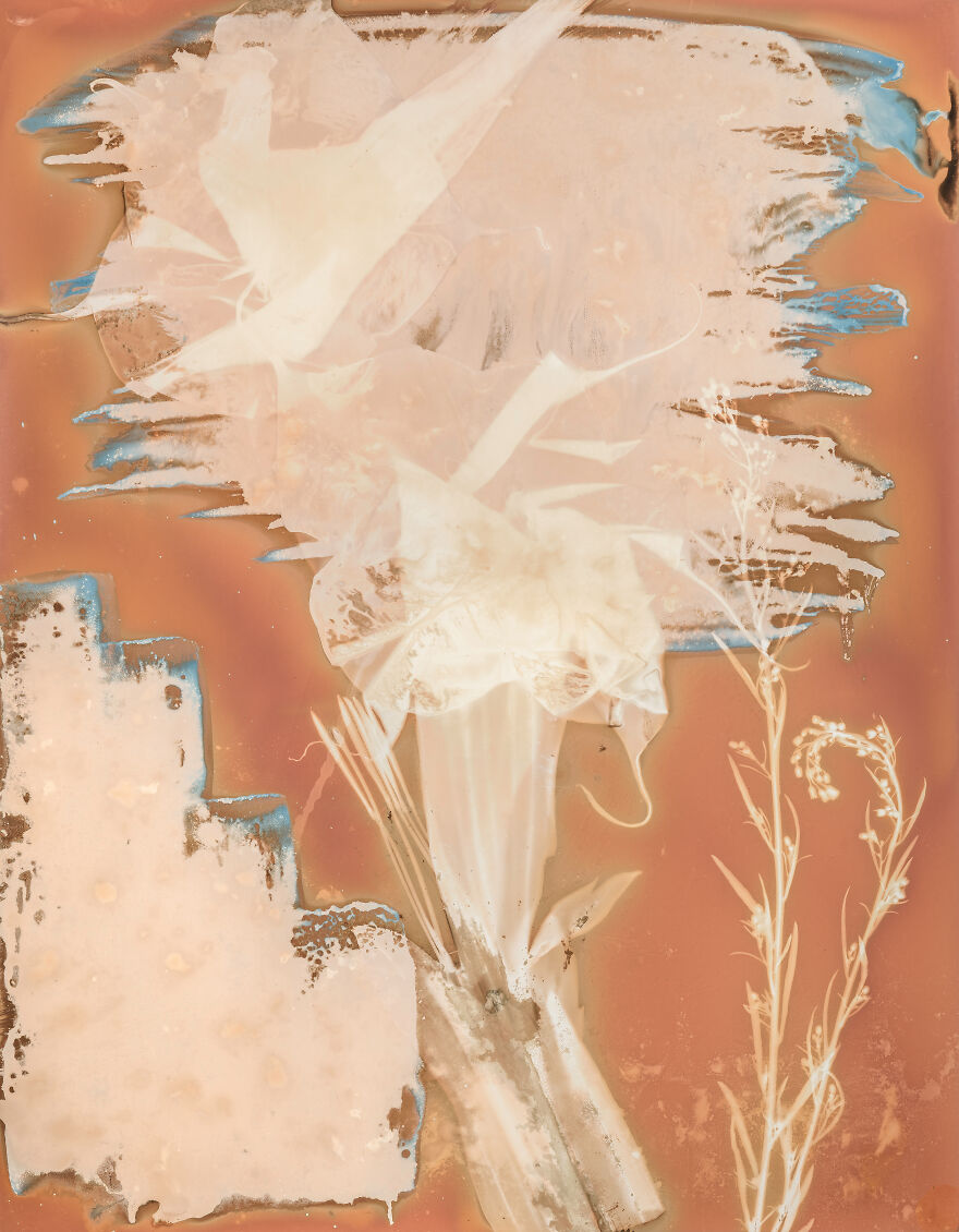 Discover Carolyn Moore's "My Heart Exposed"&mdash;an Emotional Journey Through Experimental Photography