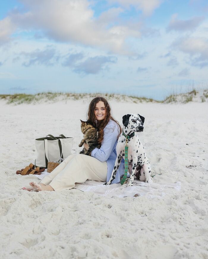 Woman Let Her Dalmatian Keep A Foster Kitten And It Resulted In The Most Beautiful Friendship Woman Let Her Dalmatian Keep A Foster Kitten And It Resulted In The Most Beautiful Friendship