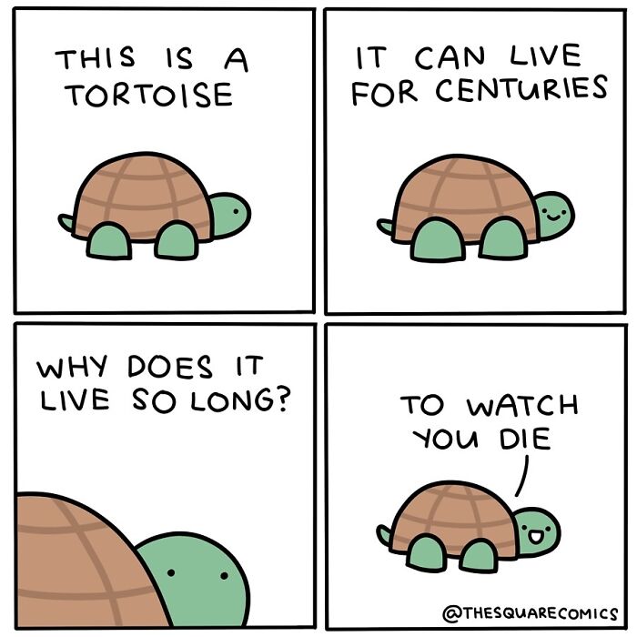 Humorous comic with dark twist featuring a tortoise discussing its long lifespan.