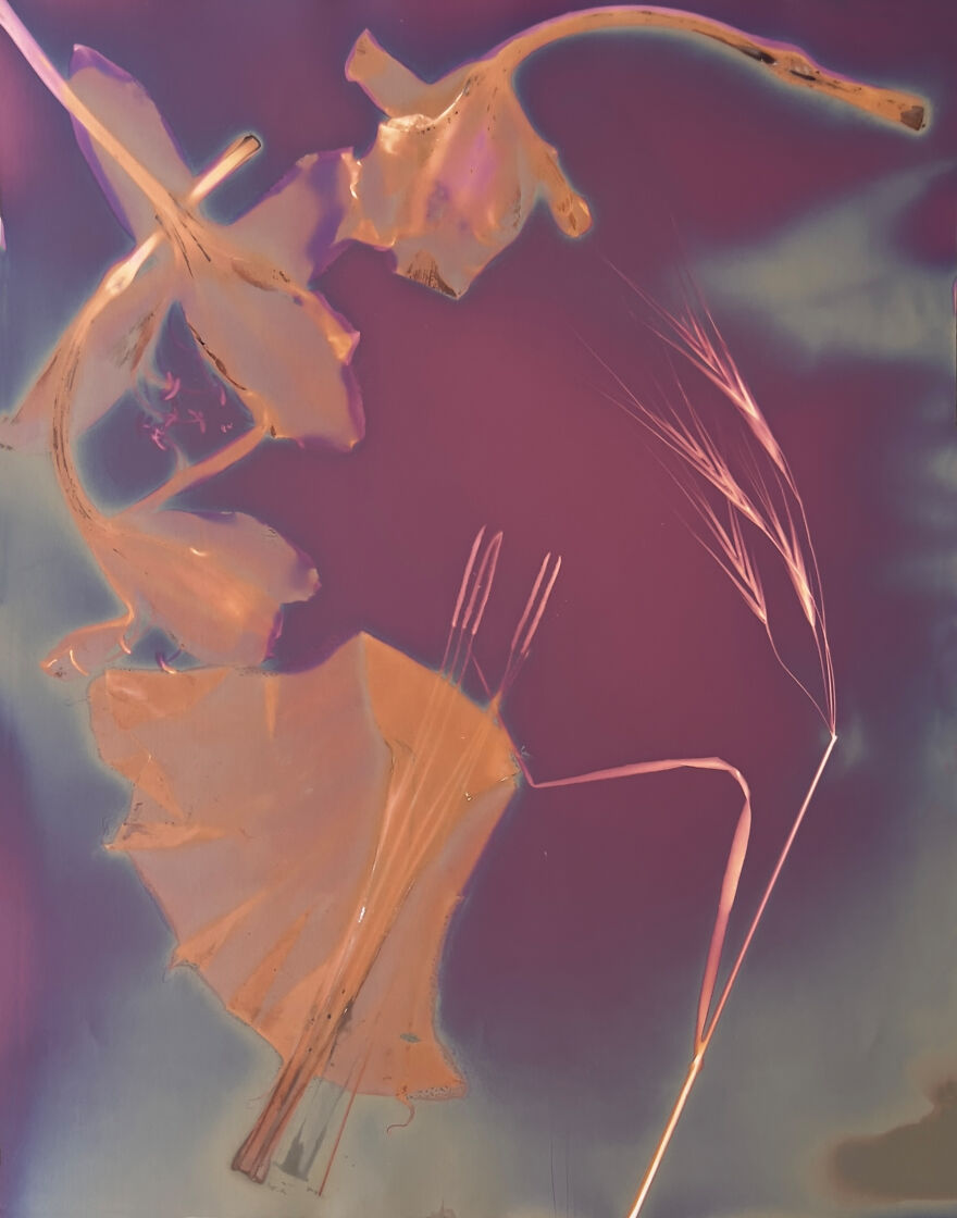 Discover Carolyn Moore's "My Heart Exposed"&mdash;an Emotional Journey Through Experimental Photography