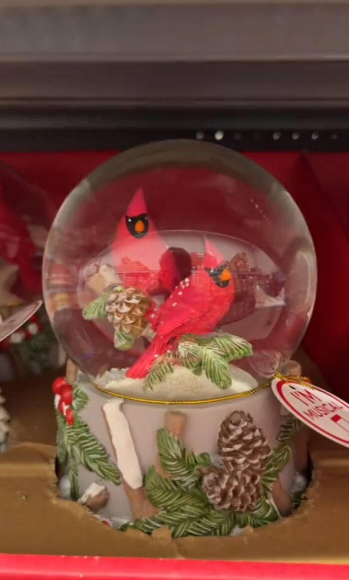 Walmart&rsquo;s &ldquo;Gay&rdquo; Christmas Birds Spark Frenzy: &ldquo;Don&rsquo;t Think [They] Did Their Research&rdquo;