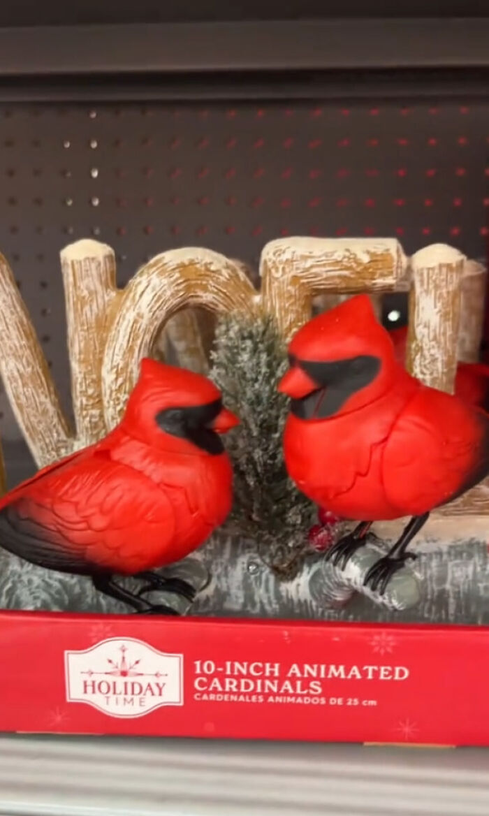 Walmart&rsquo;s &ldquo;Gay&rdquo; Christmas Birds Spark Frenzy: &ldquo;Don&rsquo;t Think [They] Did Their Research&rdquo;