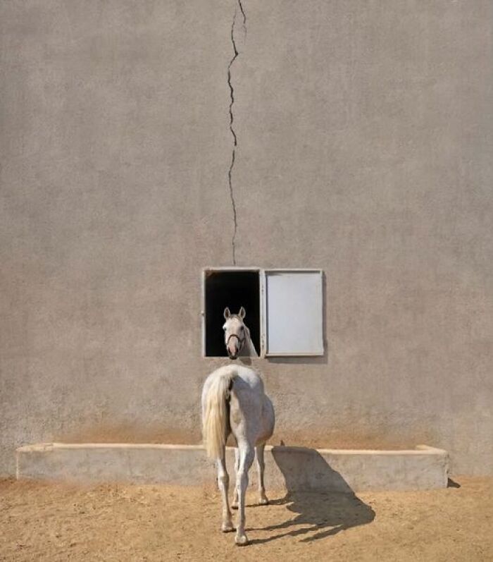 Accidental-Optical-Illusions-Pics