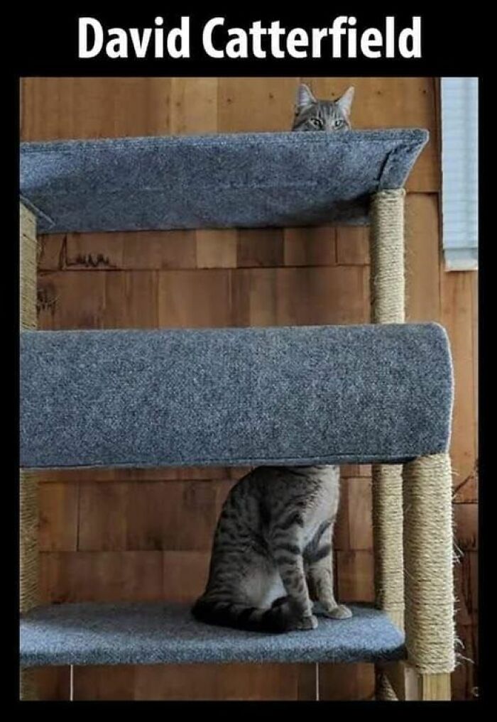 Accidental-Optical-Illusions-Pics